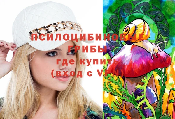 гашик Снежинск